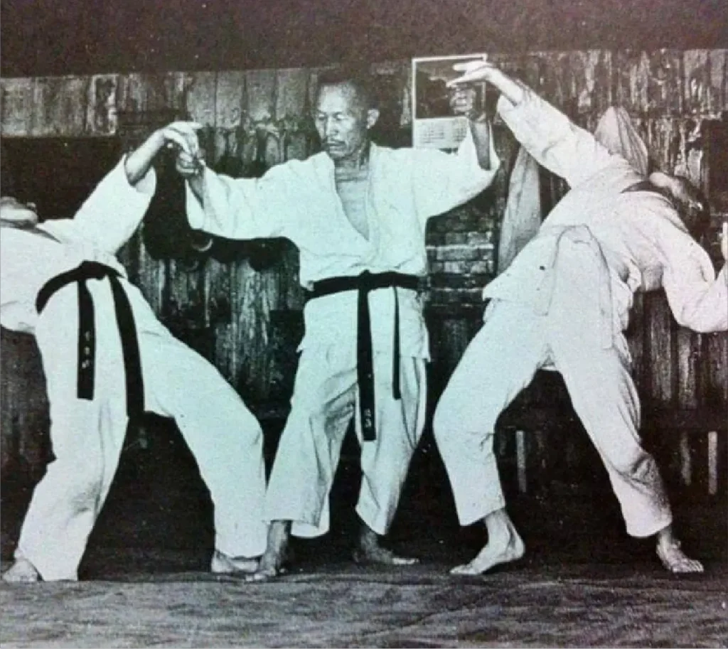 Historia del hapkido