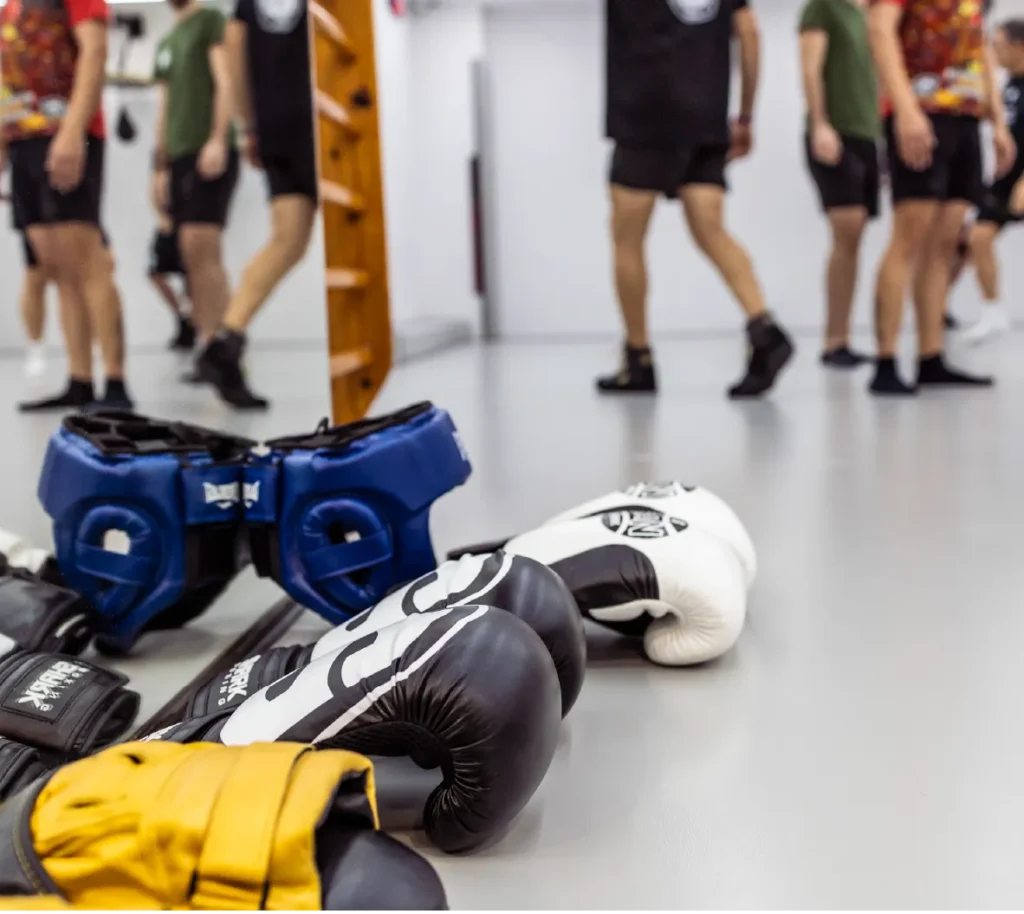 Implementos de boxeo